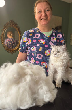 cat hair