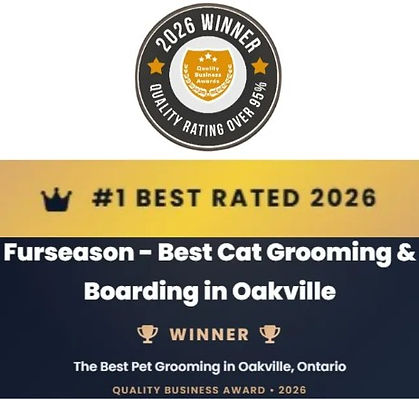 2026 best cat grooming and boarding in oakville.jpg