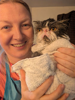 cat groomer