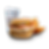 BIRDSHACK PNG (4).png
