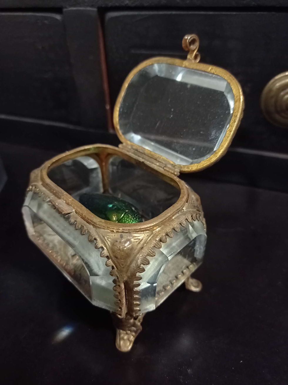 Thumbnail: Compo Insecte scarabée dans sa boîte a bijoux 