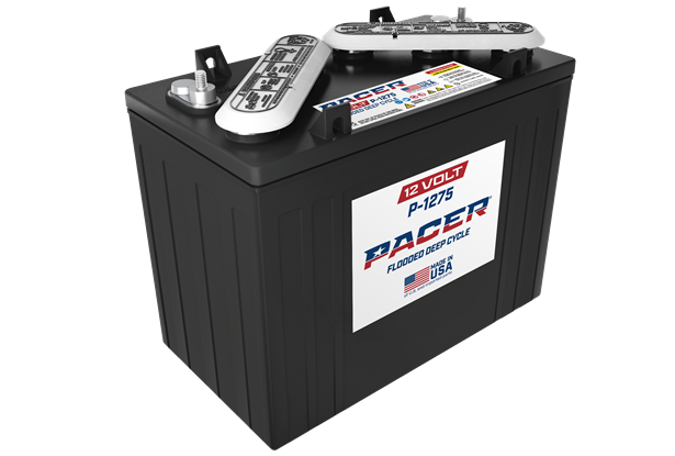 PACER 12 Volt Golf Cart Battery