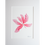 Thumbnail: Pink Sea Beech seaweed art print-"Celestial Drift" in a mount