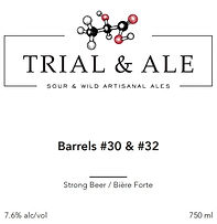 Trail & Ale Logo w White_edited.png