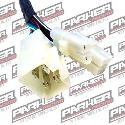 190cc Wiring Loom For Daytona 4-Valve Anima 190FLX Engine – With Light System