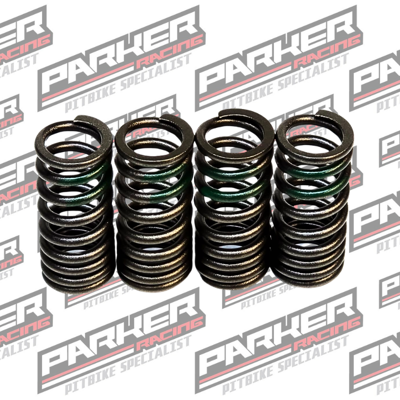 Daytona Valve Spring Set - 4 Valve
