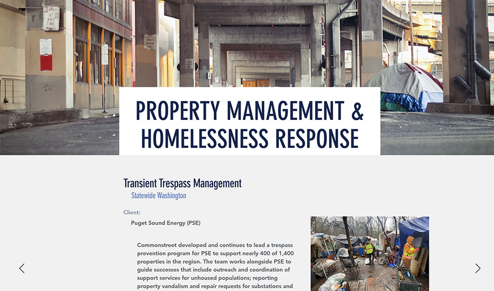 portfolio project example