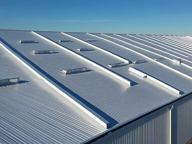 Roof cleaning