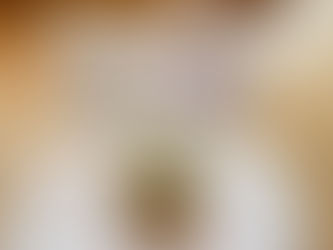 4/14(火) 今日の給食のコピー