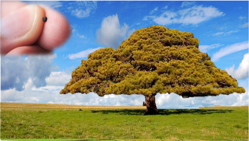 treesize tree
