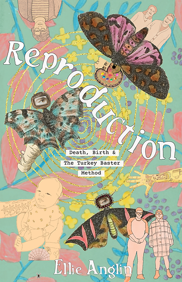 Reproduction P1, V2 (1).png