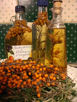 seabuckthornvinegar250x333