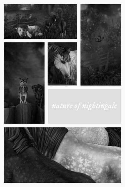 Minimalism (1)-modified.png