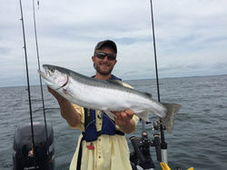 Lake Erie Steelhead