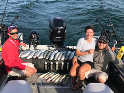 Kids / Family / Silver Bass