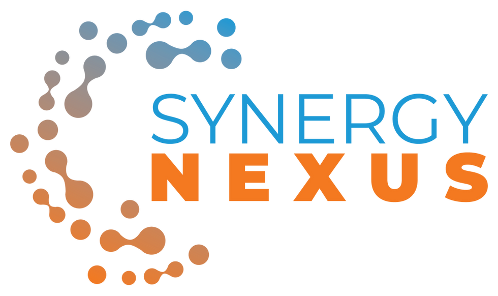 SYNERGY NEXUS.png
