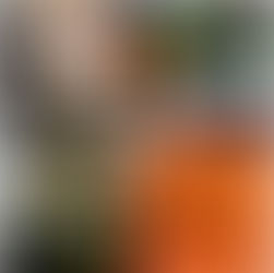 03.04.2015