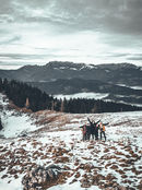 Harvesting Inspiration