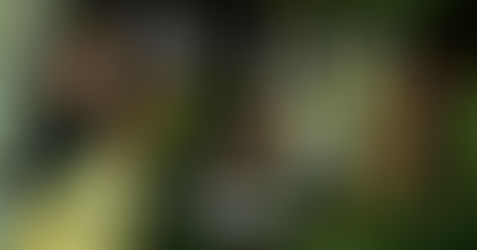 ŻNIWA & ROBERTO DELIRA IN KRAKÓW