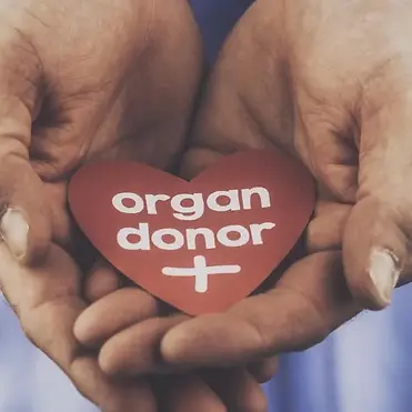 Pearls of Life - Donate.webp