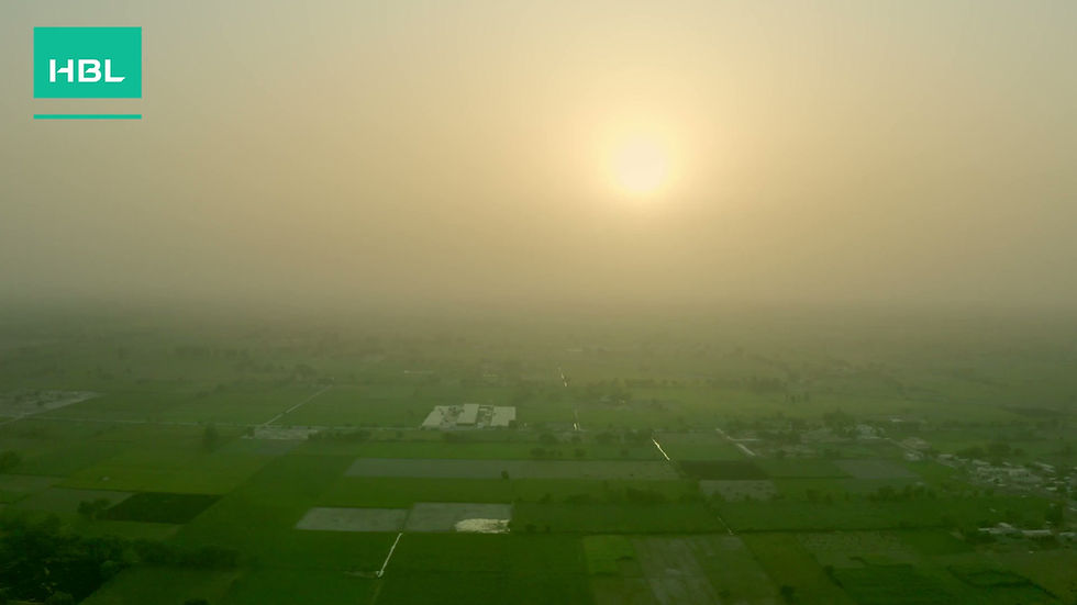01 - HBL - Farmer Film.mp4