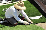 grass instalation