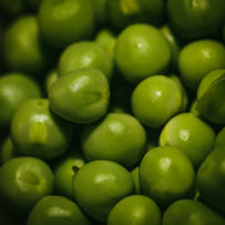 Peas 2.jpg