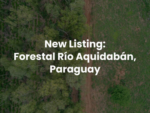 Forestal Río Aquidabán: Where Reforestation, Ranching, and Regeneration Converge