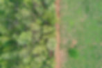Bird's view shows the transition between the project area and the surrounding grassland.
