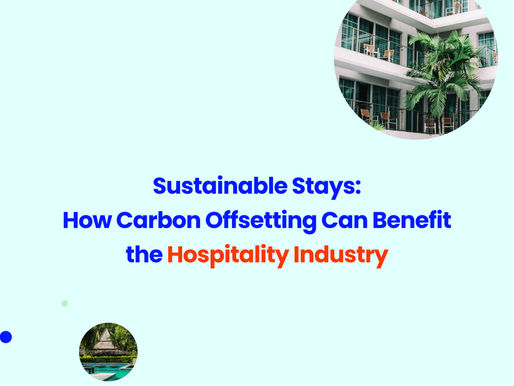 Integrating Carbon Offsetting in Hospitality: A Smart Move for Business and the Planet