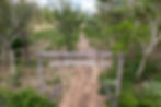 Entrance to the project area of “Forestal Río Aquidabán” in Paraguay.