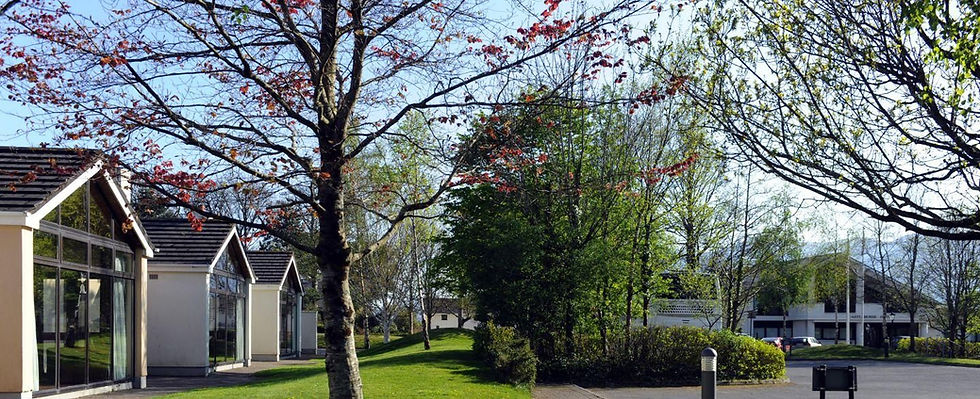 Carbon Offsetting in Hospitality: Castelrosse Park Resort Case