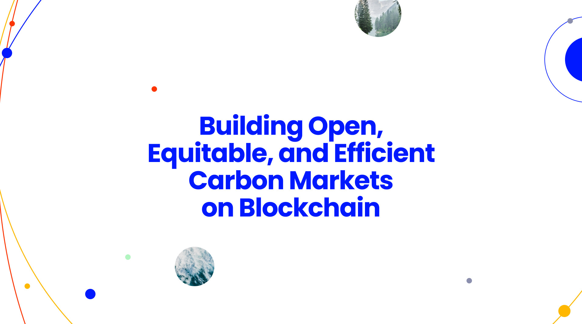 Blockchain for Sustainability: Making Scalable Climate Action a Reality