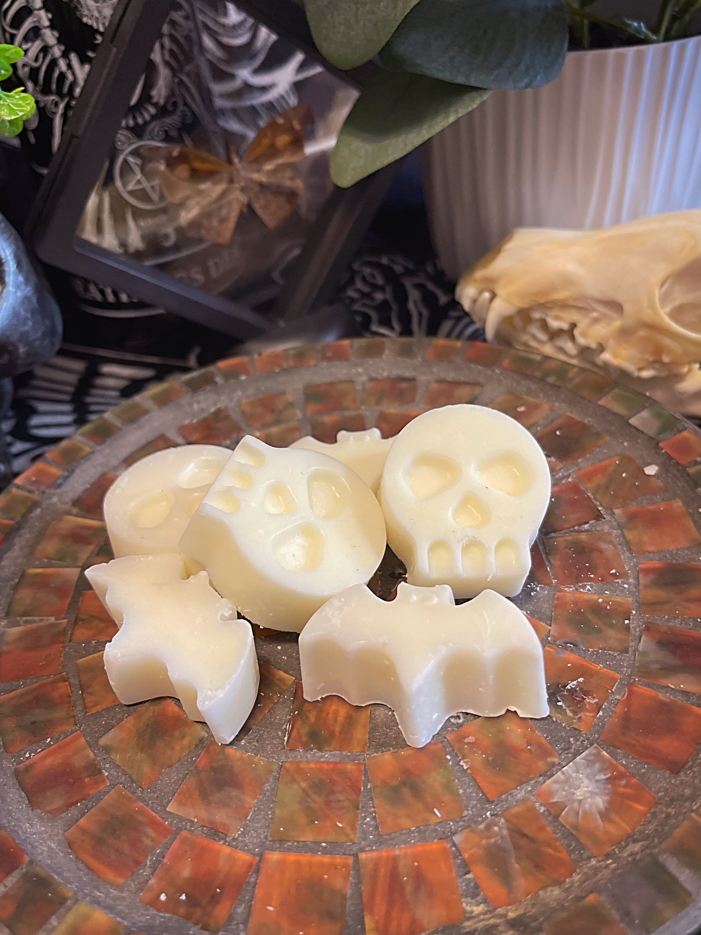 Fruit Loops Wax Melts (6 pack)