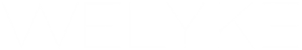 Welyke Academy's Logo