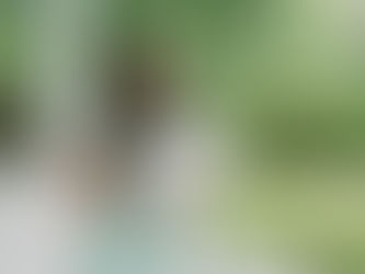 Why Hire a Wedding Planner in South Carolina (And What We Actually Do)