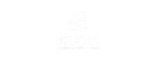 bravialogowhatspreto-removebg-preview.png