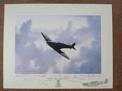 High in the Sunlit Silence-Multi Signed-41 Sqn Special-Remarque-M.Rondot