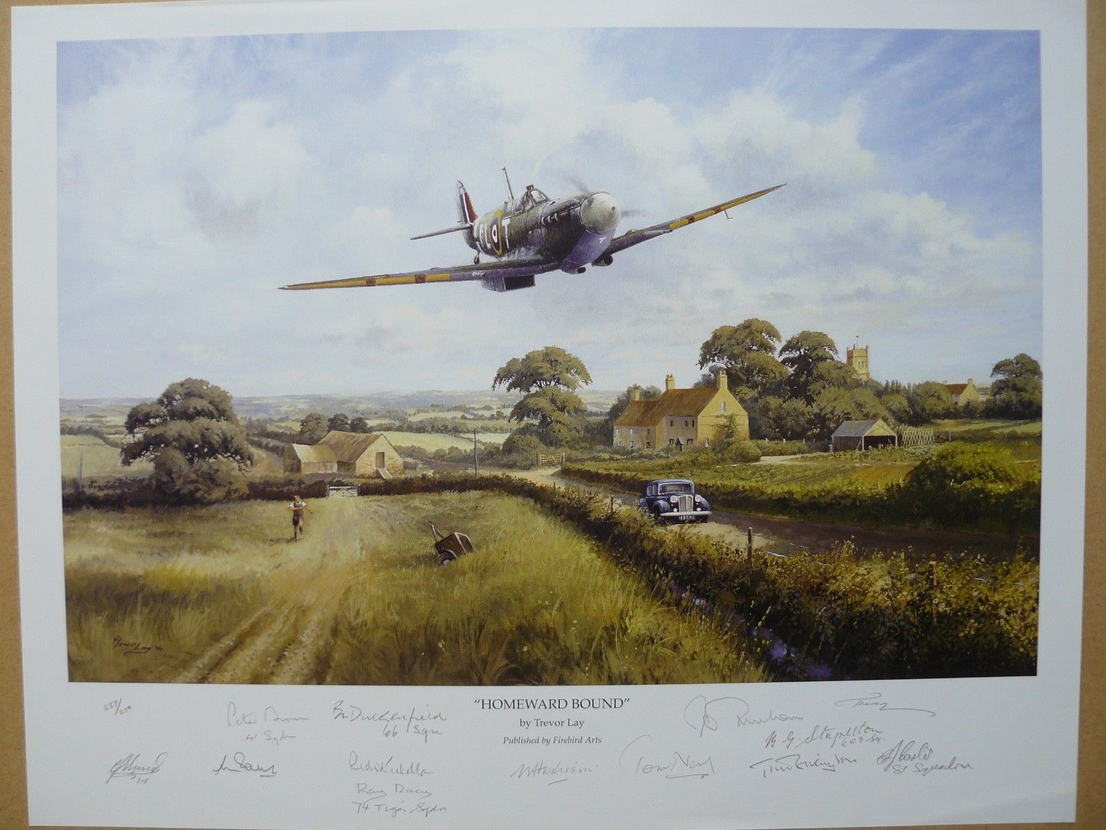 Homeward Bound by Trevor Lay