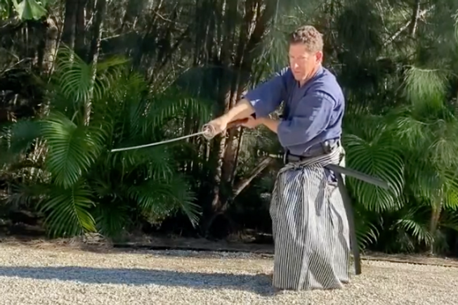 Japanese sword Jiujitsu Kenjitsu Iaijitsu.png