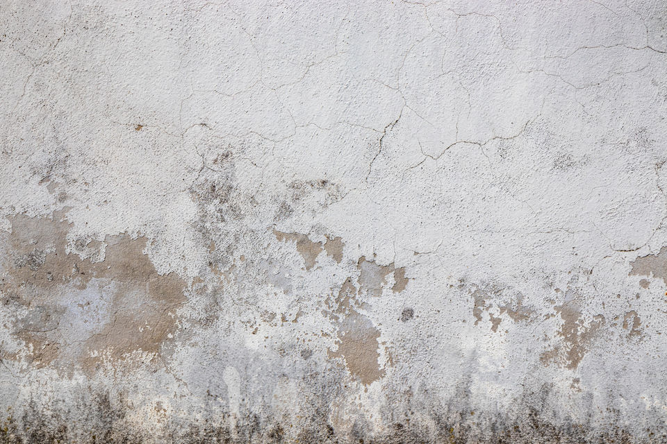 AdobeStock_252256739.jpeg