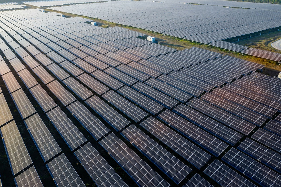 Another massive Elon Musk manufacturing project could be headed to Southeast Texas - just days after the announcement of the $16.8 billion SpaceX Terafab semiconductor complex in Grimes County.