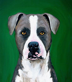Gentry_Pitbull - Kat.jpg