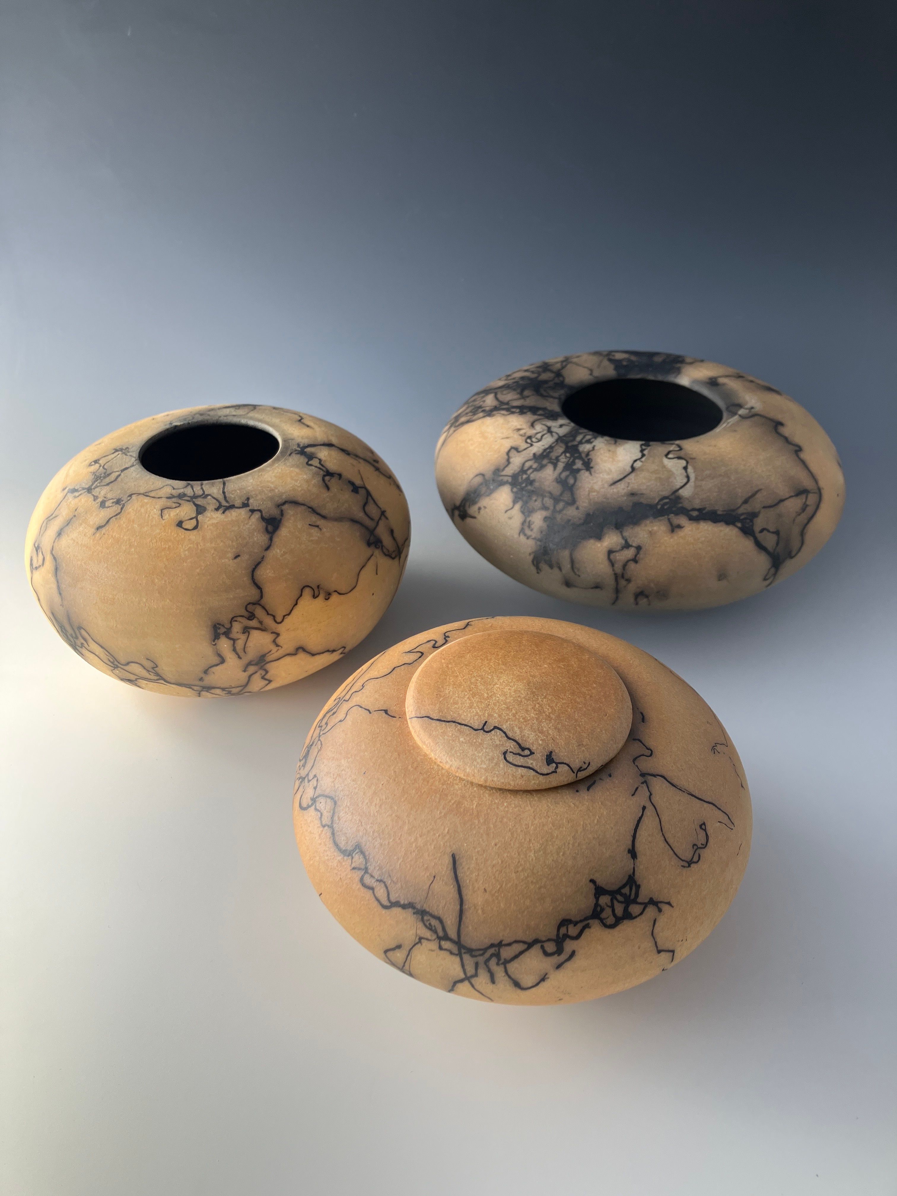 STUDIO 6: Raku Fired with  Horse Hair Singed - Allison LeBaron
