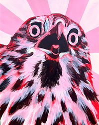 Lindroth_Red Hawk - Amy Cecilia Lindroth.jpeg