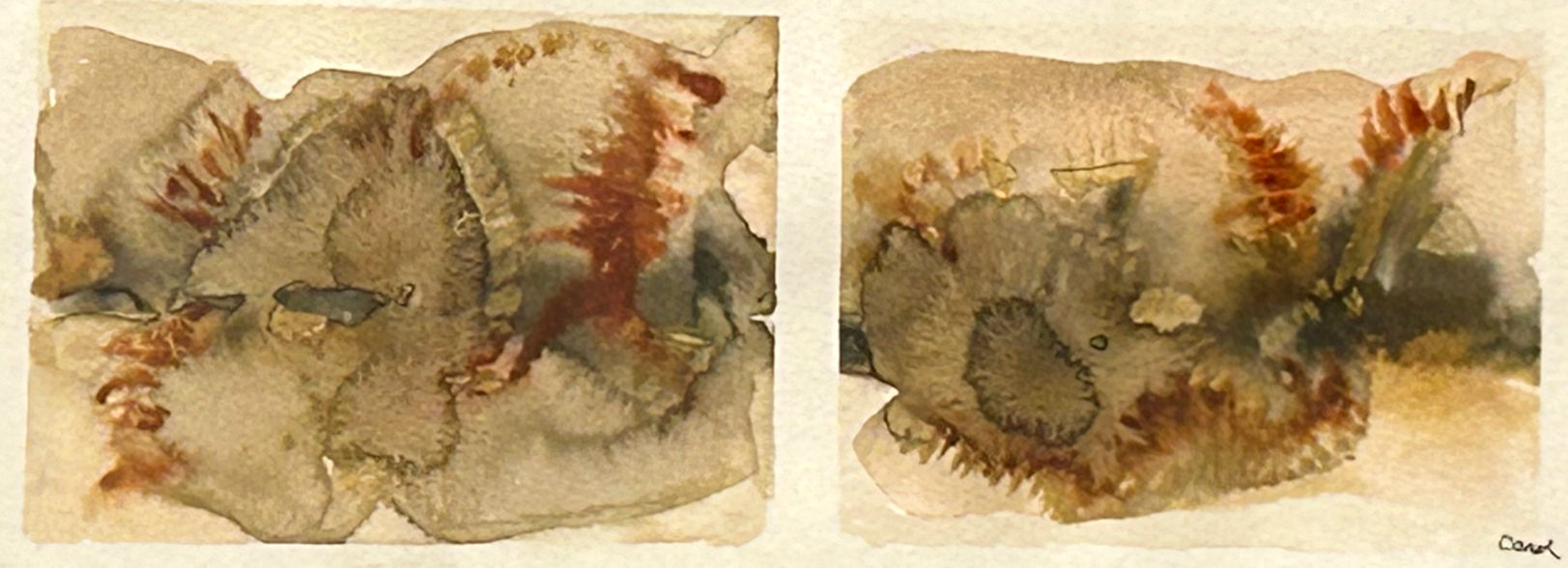 Organic Abstract - Carol Glavin