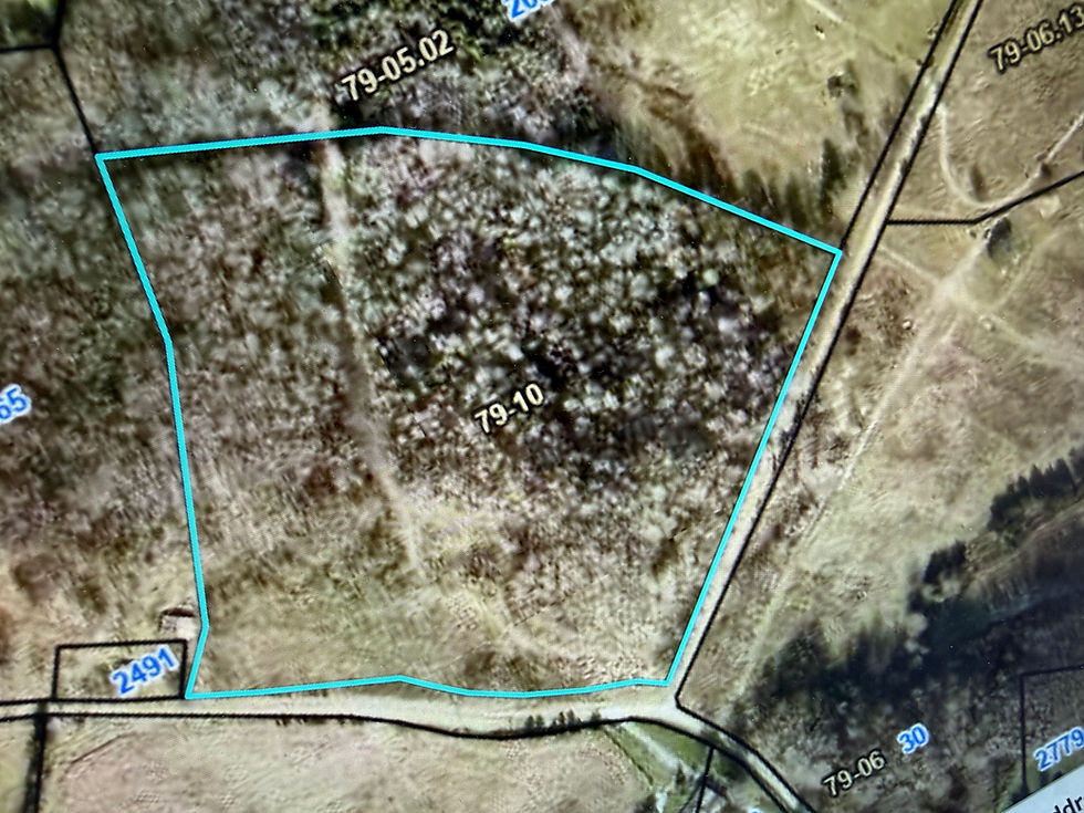 Thumbnail: 2619 Blowing Springs Road, Ebenezer, KY 42743