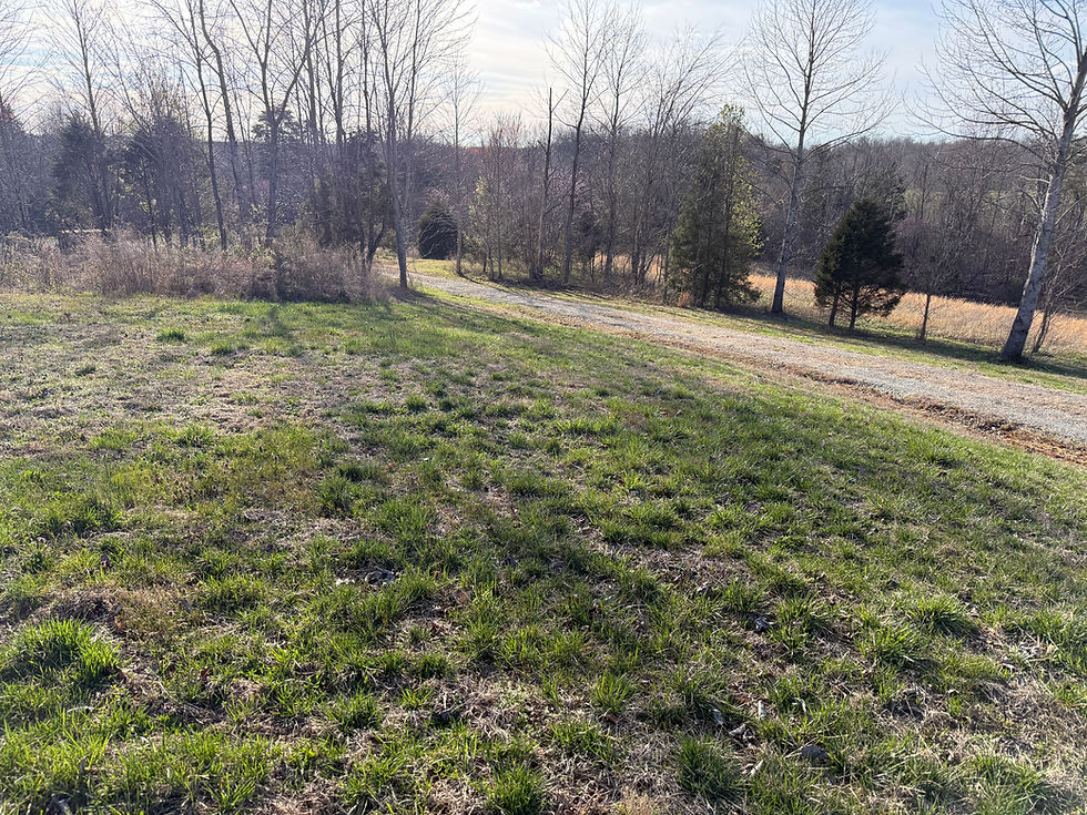 Thumbnail: 6801 Fairplay Road, Columbia, KY 42728