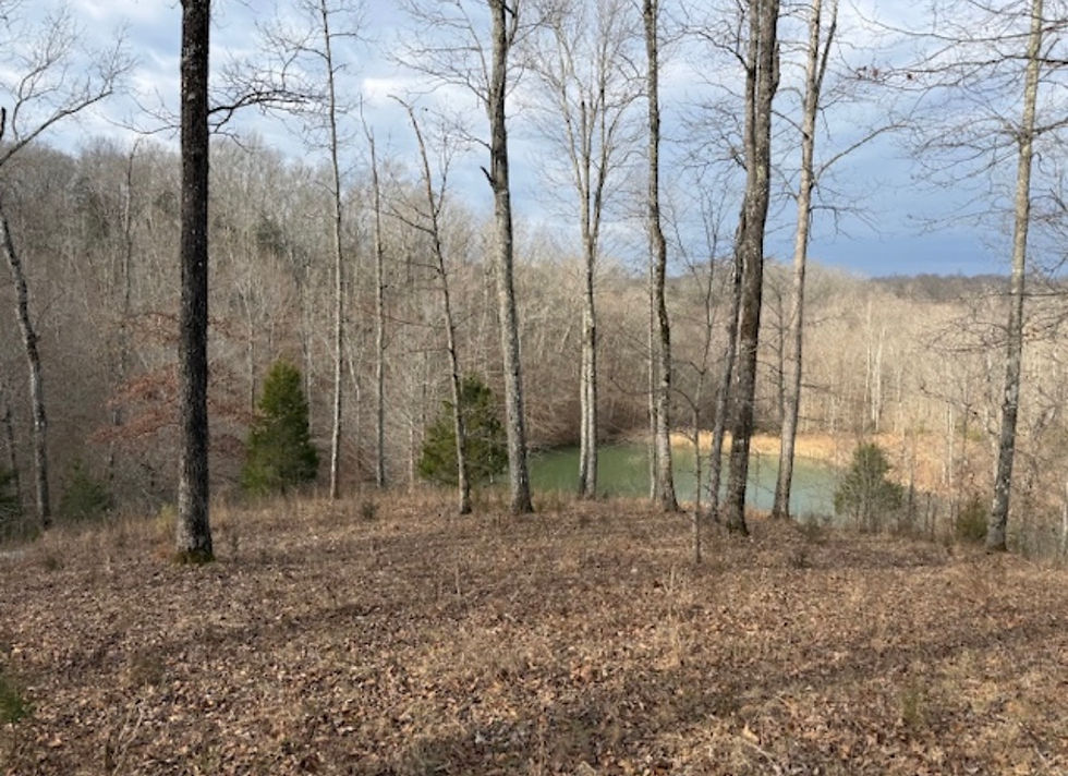 Thumbnail: 3900 Sparksville Road, Columbia, KY 42728