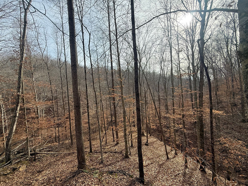 Thumbnail: 1957 Old 61 Loop Road, Breeding, Cumberland County, KY